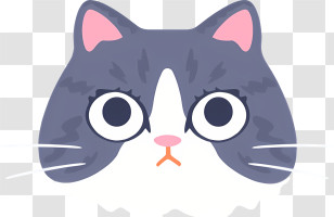 Cat - Adorable Cat Face Illustration Transparent PNG