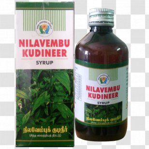 Medicine Green Chiretta Herb Medicinal Plants Food - Andrographis Paniculata Transparent PNG