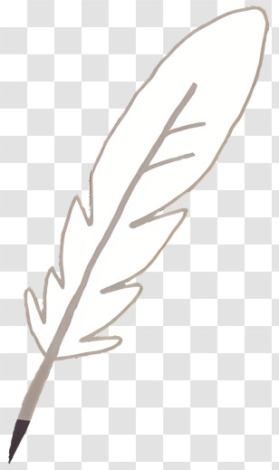 Icon - Simple Feather Drawing Transparent PNG