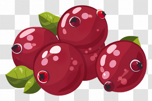 Cranberry - Fresh Cranberries With Leaves Transparent PNG