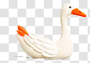 Goose Floating On Water - White Swan With Orange Beak Transparent PNG
