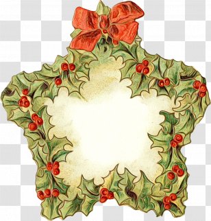 Holly - Perennial Plant Flower Transparent PNG