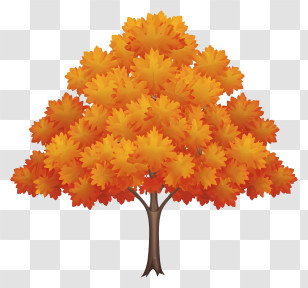 Fall Foliage - Tree With Vibrant Orange Autumn Leaves Transparent PNG