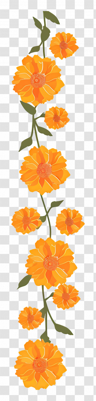 Wedding Marigold Garland - Orange Marigold Flower Garland Illustration Transparent PNG