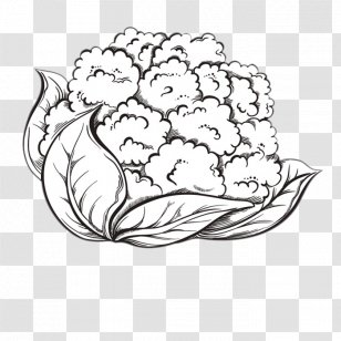 cauliflower clipart black and white heart