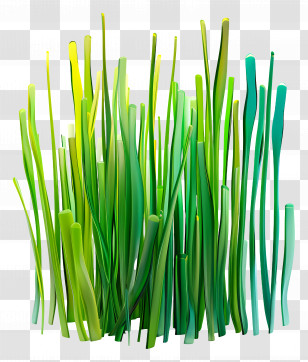 Grass Plant - Stylized Green Grass For Artistic Decor Transparent PNG