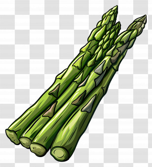 Asparagus - Illustration Of Fresh Asparagus Stalks Transparent PNG