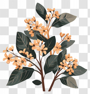 Osmanthus Flowers - Yellow Flowers On Botanical Branches Transparent PNG
