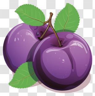 Sketch Style Plum - Purple Plums With Green Leaves Transparent PNG