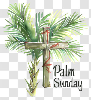 Palm Sunday - Palm Sunday Illustration Transparent PNG