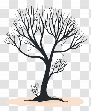 Tree Clipart - Bare Tree Silhouette On Minimal Background Transparent PNG