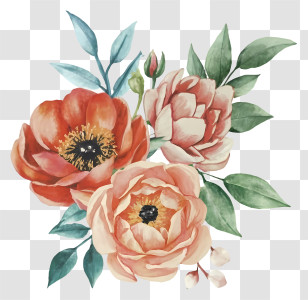 Roses - Soft Watercolor Flowers Bouquet Transparent PNG