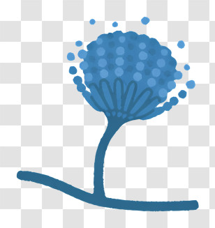 Icon - Minimalist Blue Plant Abstract Design Transparent PNG