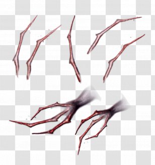 Nail Art Claw Drawing - Google Images Transparent PNG