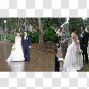 Wedding Dress Reception Bride Flower - Arranging Transparent PNG