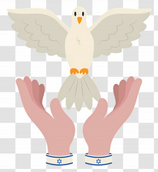 Dove - Dove With Hands In Peaceful Gesture Transparent PNG