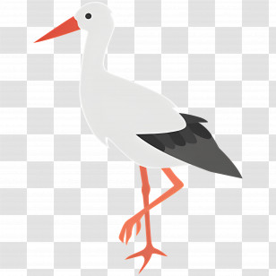 Heron - Stork Bird Cartoon Illustration Transparent PNG