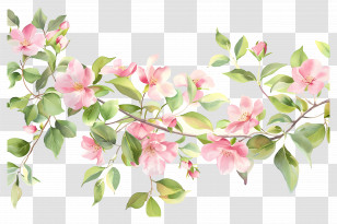 Tropical Flower Background - Pink Floral Branch Illustration Transparent PNG