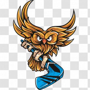 Ice Hockey Helmets Sport - Bandy Transparent PNG