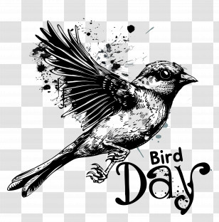 Bird Day - Ink Drawing Of A Bird In Flight Transparent PNG