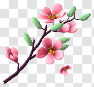 Flowering Tree Branch - Branch With Bright Pink Flowers Transparent PNG