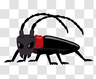 Bug - Creepy Crawly Insect Transparent PNG