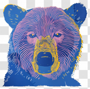 Blue Bear - Colorful Bear Illustration Transparent PNG