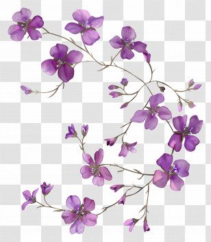 Purple Flowers - Purple Flowers On Branch Transparent PNG