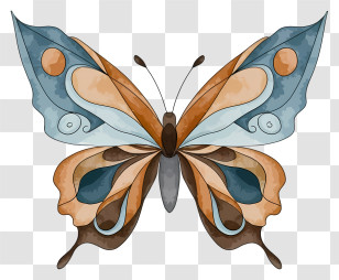 Cartoon - Detailed Butterfly With Patterned Wings Transparent PNG