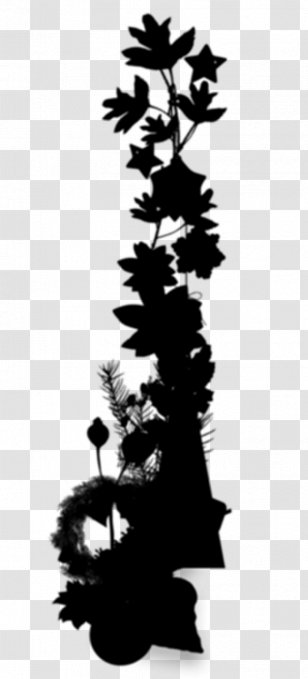 Fir Christmas Tree Pine Day Transparent PNG