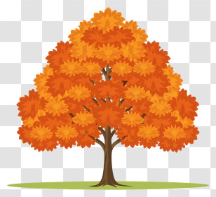 Red Leaves - Autumn Tree With Orange Foliage Transparent PNG