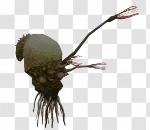Halo: Combat Evolved Anniversary The Flood Anatomy Of A - Halo 3 Odst - Wars Transparent PNG