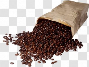 Coffee Bean Kopi Luwak Cafe Espresso Transparent PNG