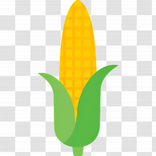 Maize - Corn Illustration With Green Leaves Transparent PNG