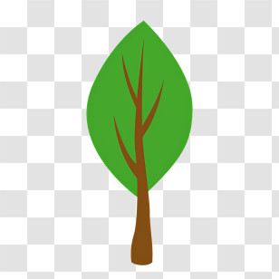Leaf - Simple Green Tree Leaf Illustration Transparent PNG