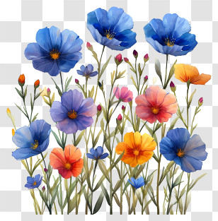 Floral Pattern Background - Colorful Wildflowers In Bloom Transparent PNG