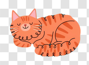 Orange Tabby Cat - Cute Sleeping Orange Cat Illustration Transparent PNG