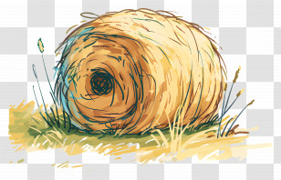 Hay Bale - Hay Roll Resting On A Sunny Field Transparent PNG
