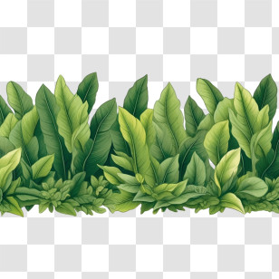 Leaf Border
 - Lush Green Leaves Transparent PNG