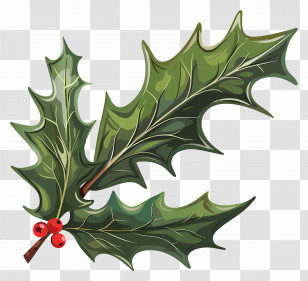 Holly Leaf - Holly Branch With Red Berries Transparent PNG
