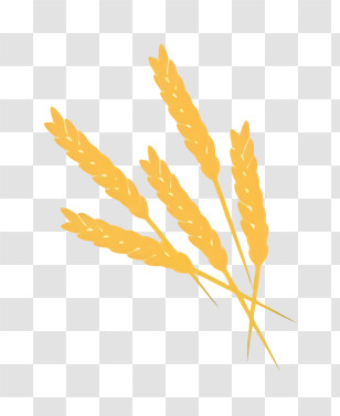 Baptism - Golden Wheat Stalks Transparent PNG