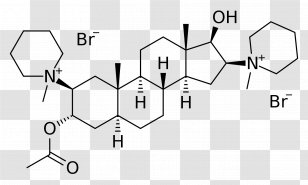 Ethisterone Anabolic Steroid Androgen Nandrolone - Androstenediol - Copperi Bromide Transparent PNG