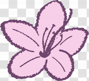 Violet Purple Pink Petal Plant Transparent PNG