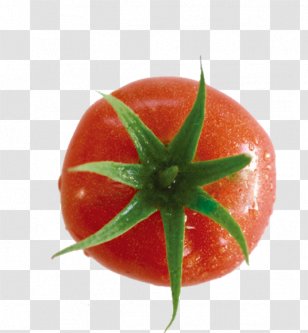 Cherry Tomato Vegetable Food Clip Art - Apple Transparent PNG