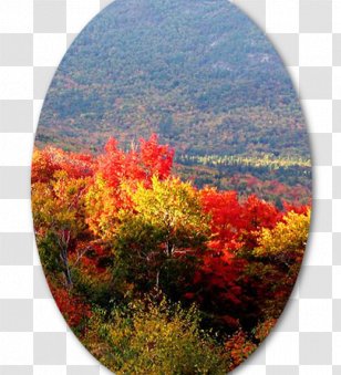 Tadiandamol Package Tour Madikeri Mysore Coorg Mountain - Autumn - Saytrees Transparent PNG