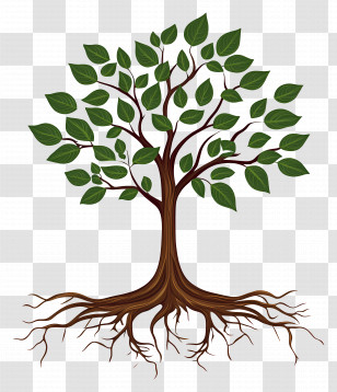 Tree With Roots - Tree With Detailed Roots And Green Canopy Transparent PNG