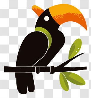 Hornbill Bird - Colorful Toucan On Branch Transparent PNG
