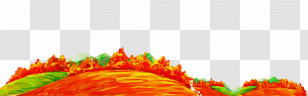 Orange Transparent PNG
