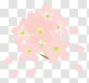 Flower - Cherry Blossom Branch With Falling Pink Petals Transparent PNG
