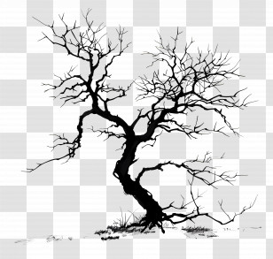 Black Tree - Barren Black Tree Silhouette Transparent PNG